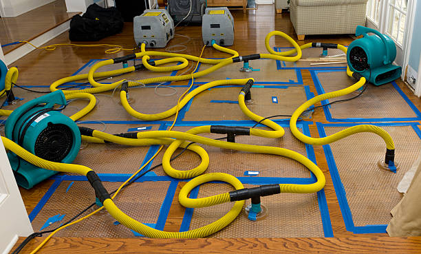Professional Water Damage Repair technician working in Albertville, AL